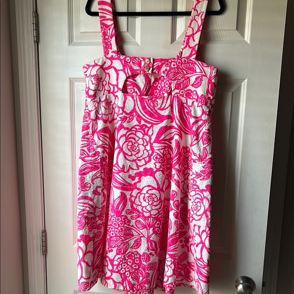 Anthropologie Vanessa Virginia Garden Party Dress - Picture 8 of 9